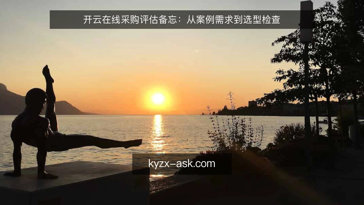 开云在线采购评估备忘：从案例需求到选型检查