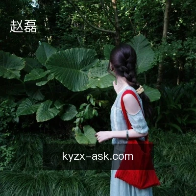 赵磊